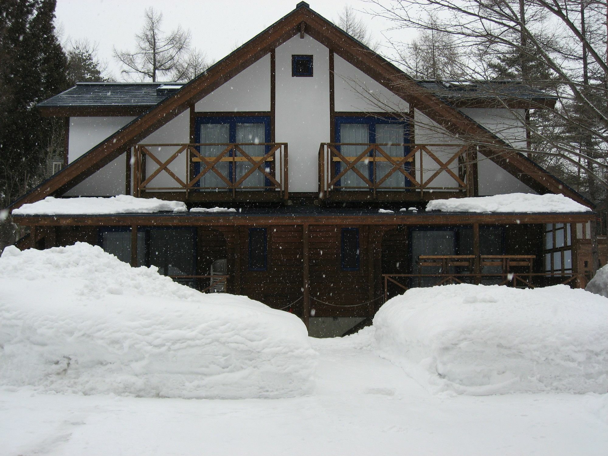 Hakuba Megeve Villa Exterior photo